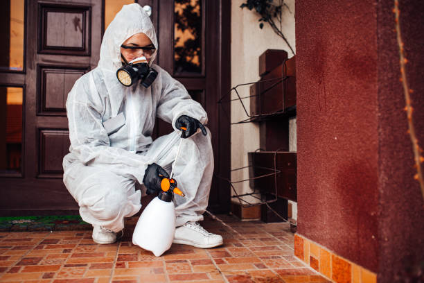 Reliable Bed Bug Control contractor in West Bradenton, FL by Nex Pest Control